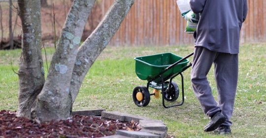 man pouring grass seeds and fertilizer on a lawn