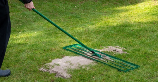Man uses a lawn rake to put a layer of sand on the lawn.
