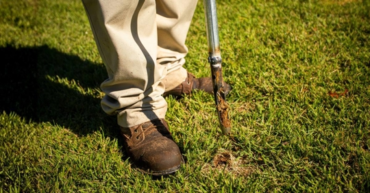 collecting soil samples in a lawn