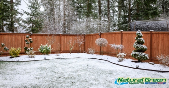 Photo of a backyard in winter