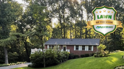 Natural Green Systems Photo