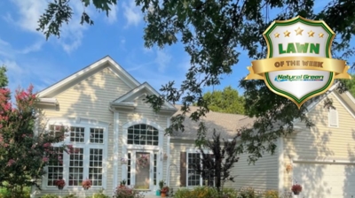 Natural Green Systems Photo