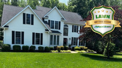 Natural Green Systems Photo