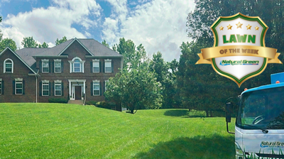 Natural Green Systems Photo