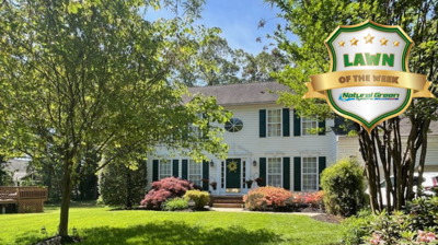 Natural Green Systems Photo