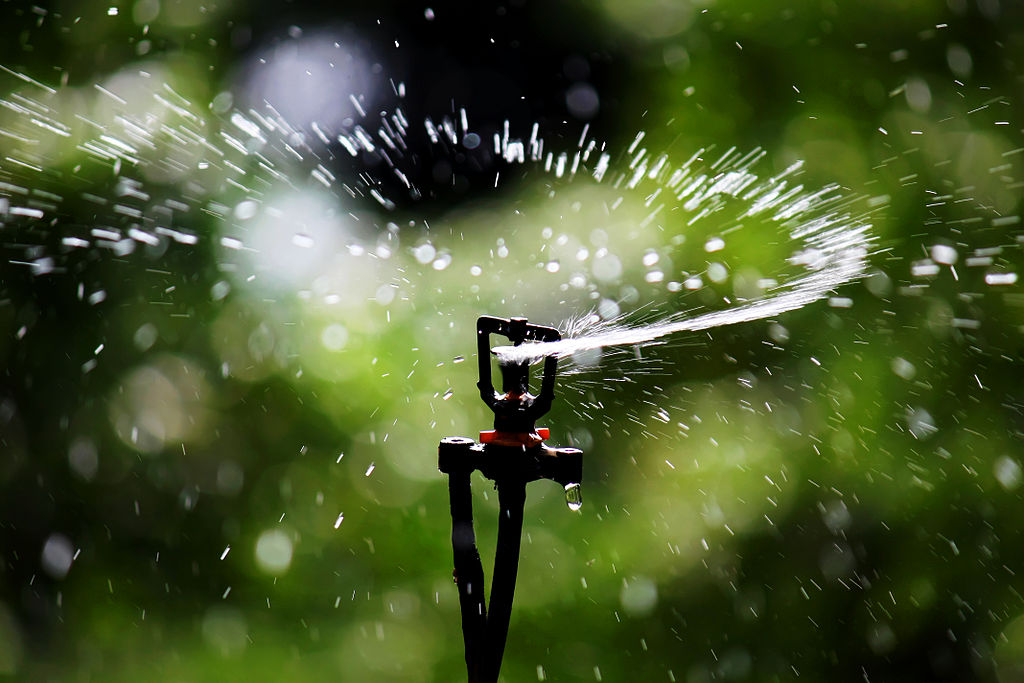 Sprinkler watering lawn