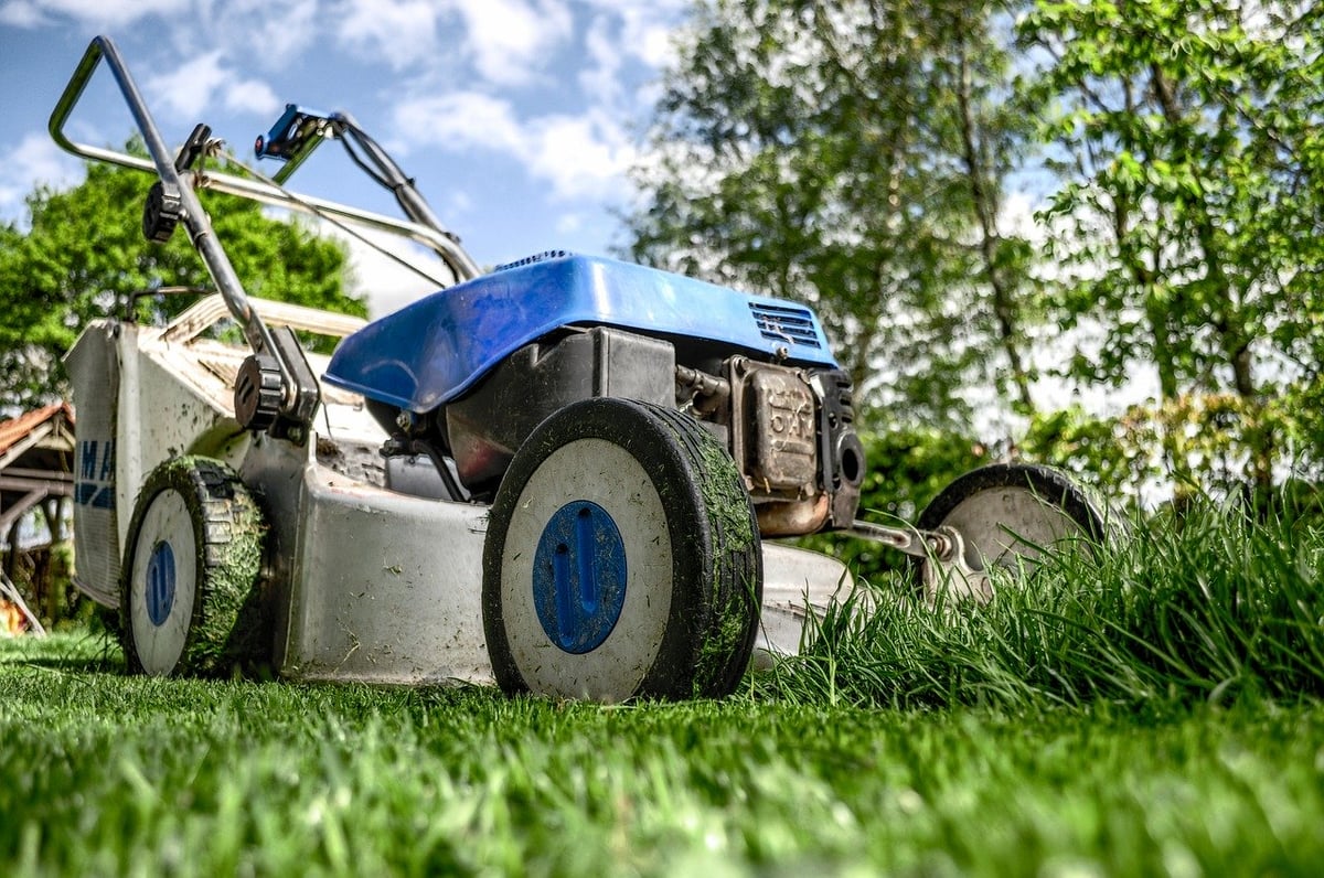 lawn mower cuts grass