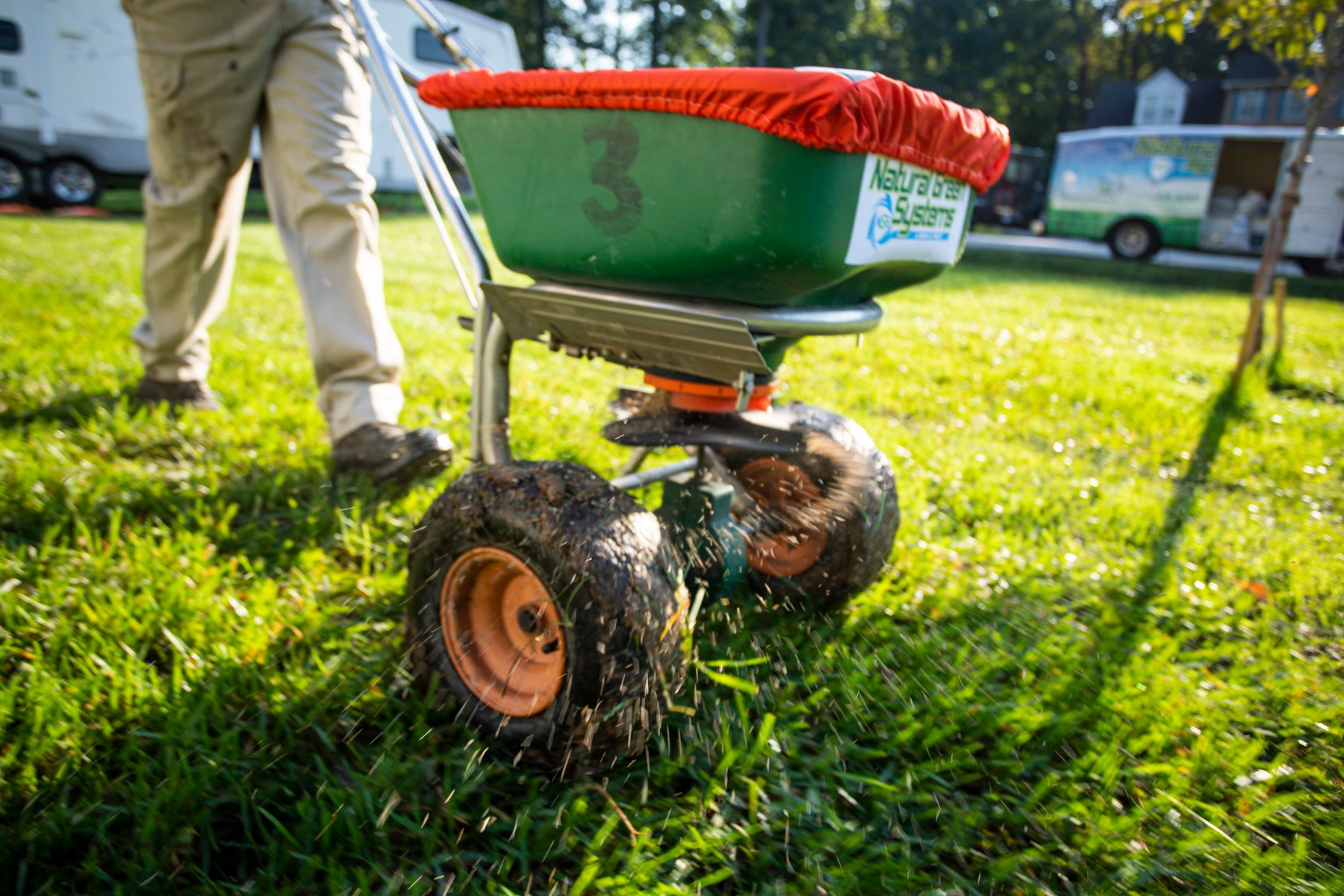 lawn care professional lawn seeding in fall or spring