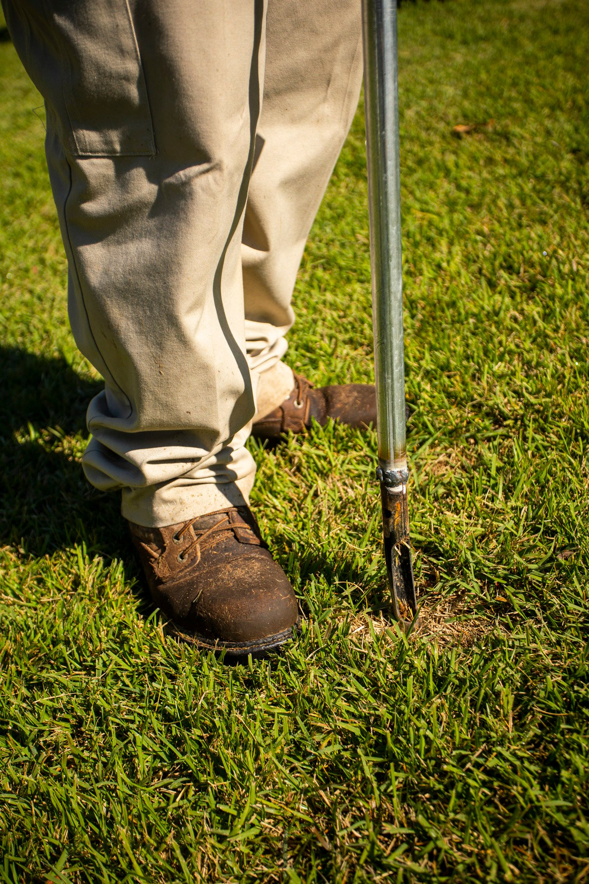 lawn care expert performs a soil test