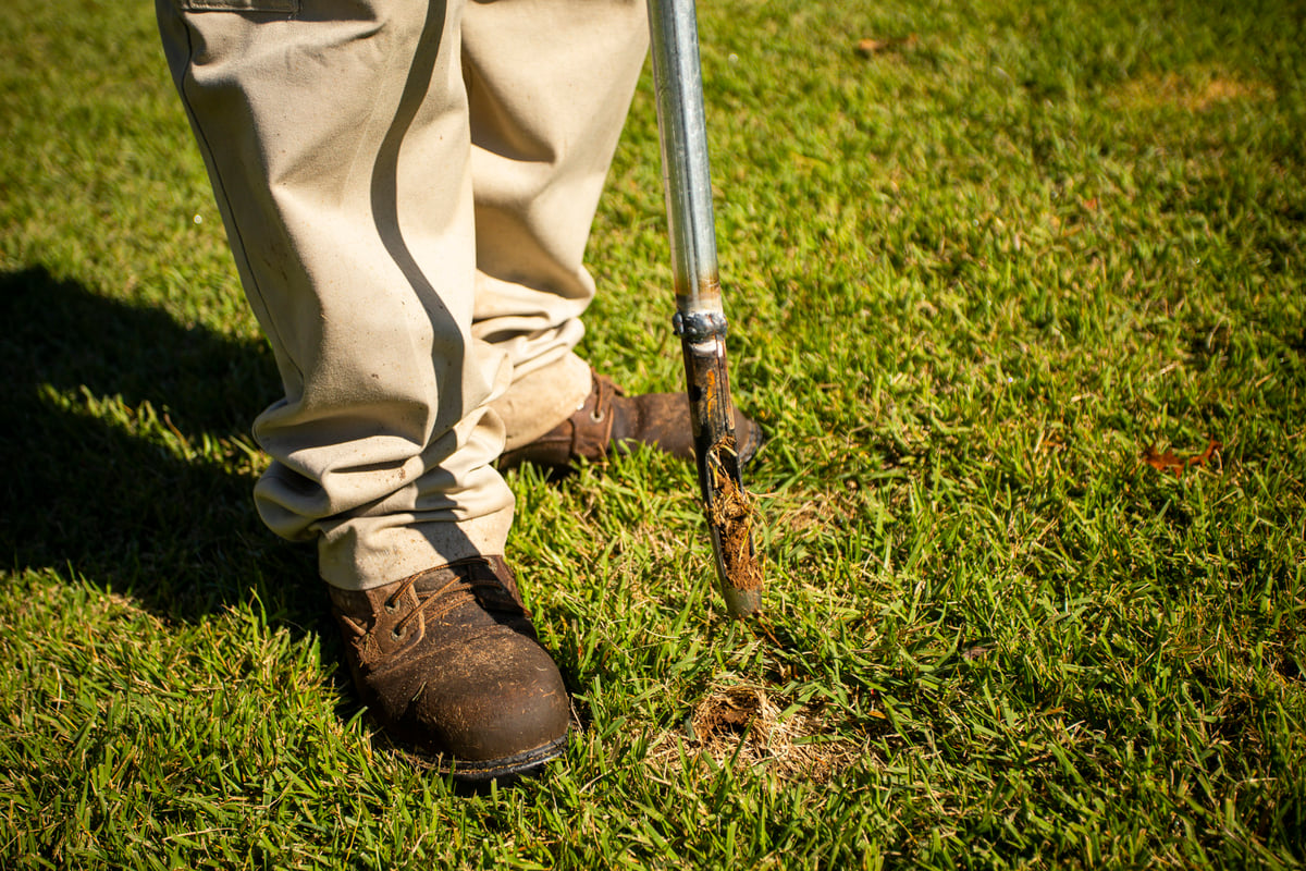 lawn care technician conducts soil test