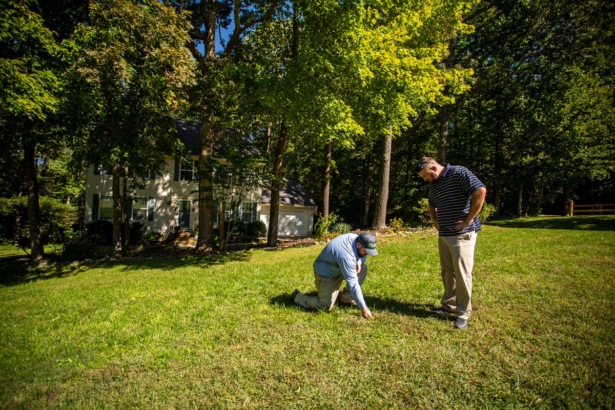 lawn care experts inspect grass