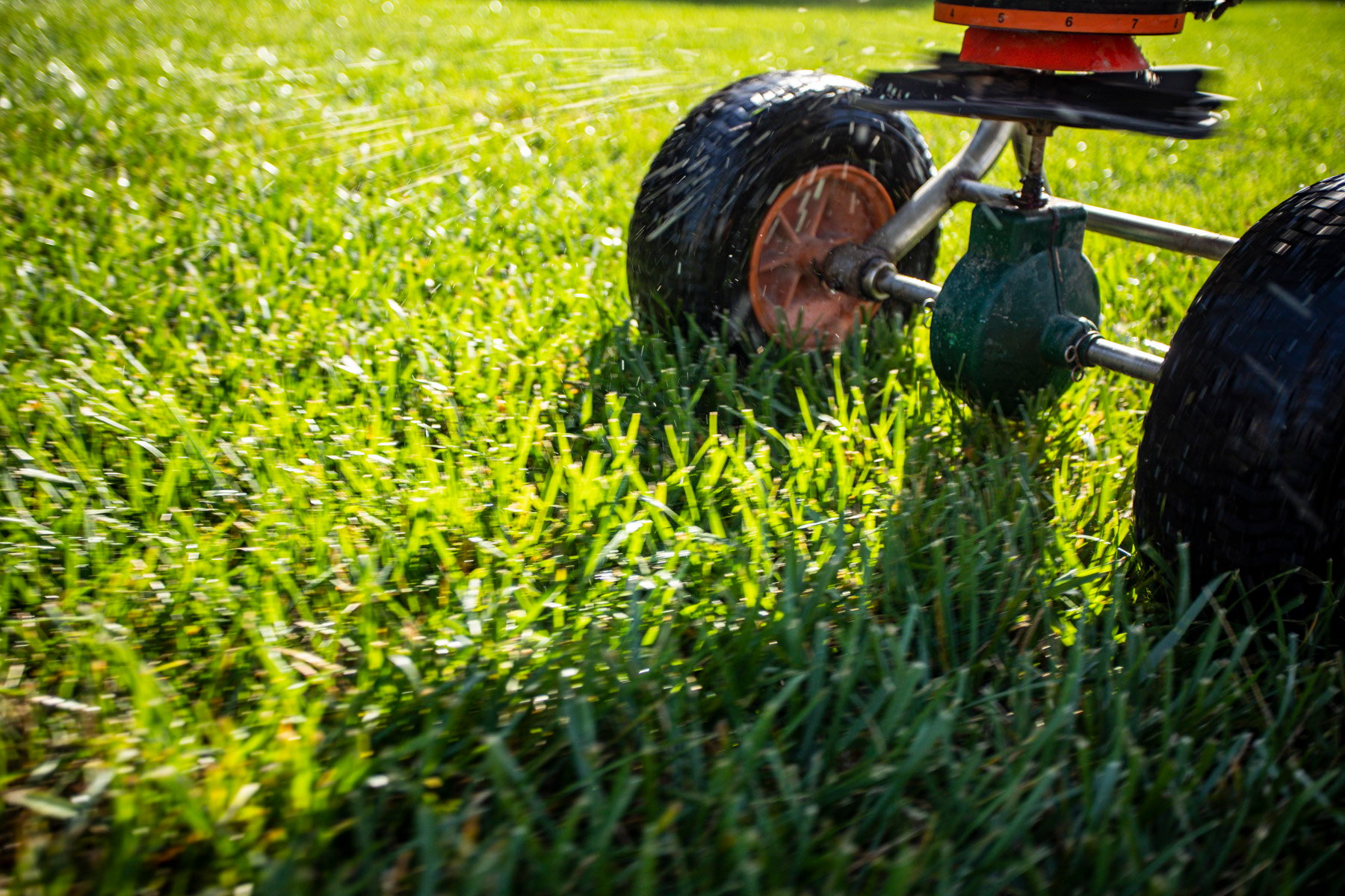 lawn fertilizer application