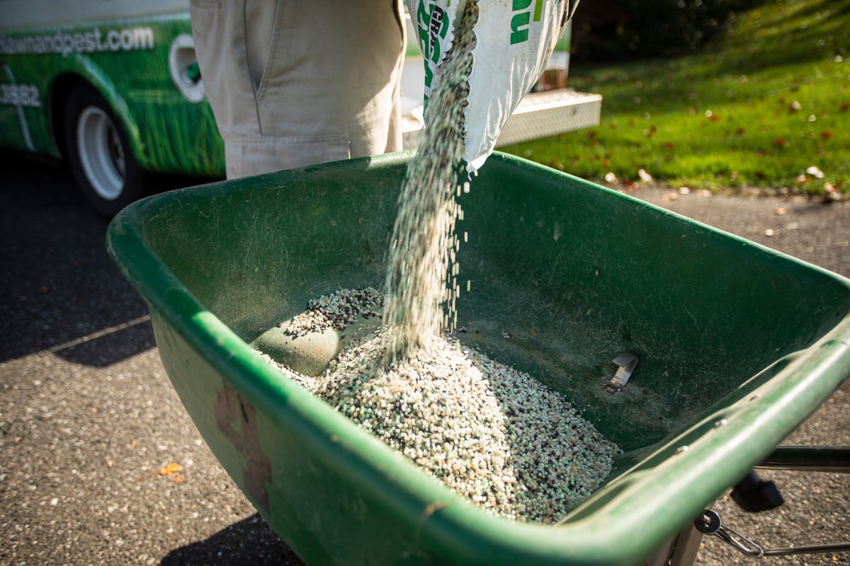 granular fertilizer being poured into spreader