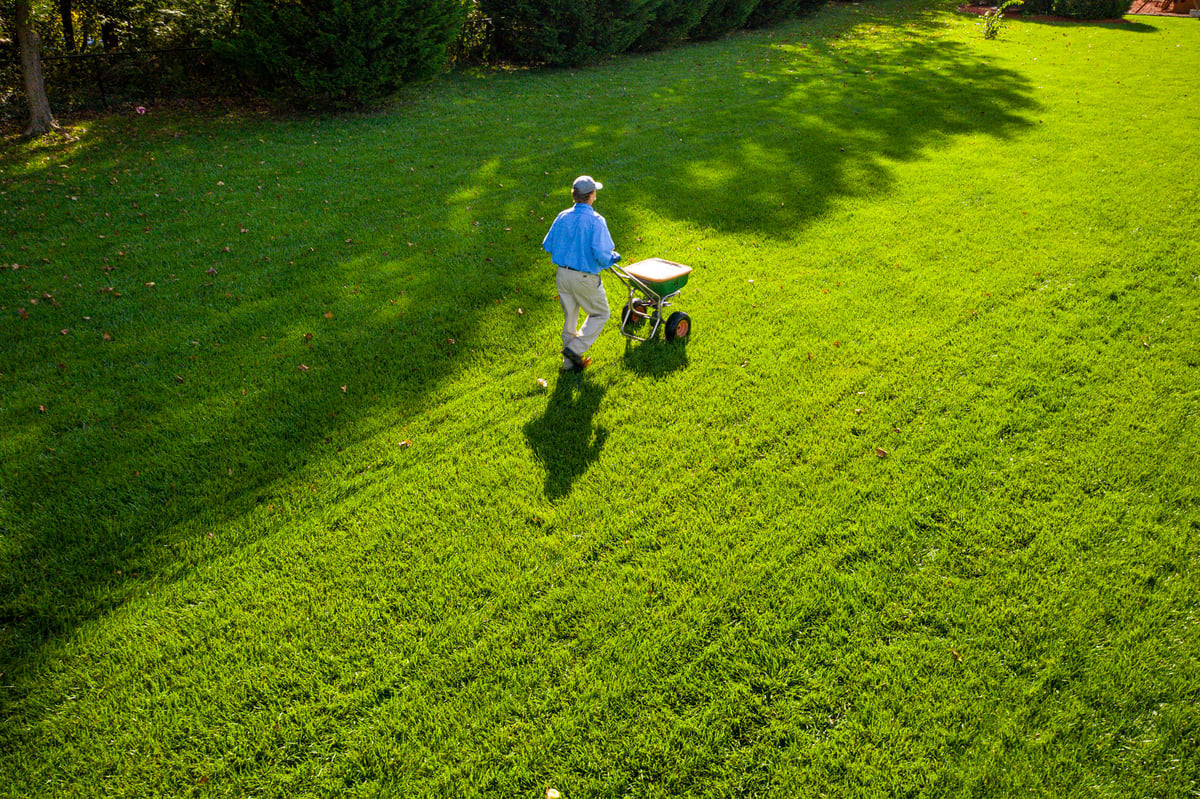 lawn care technician fertilizes healthy green grass