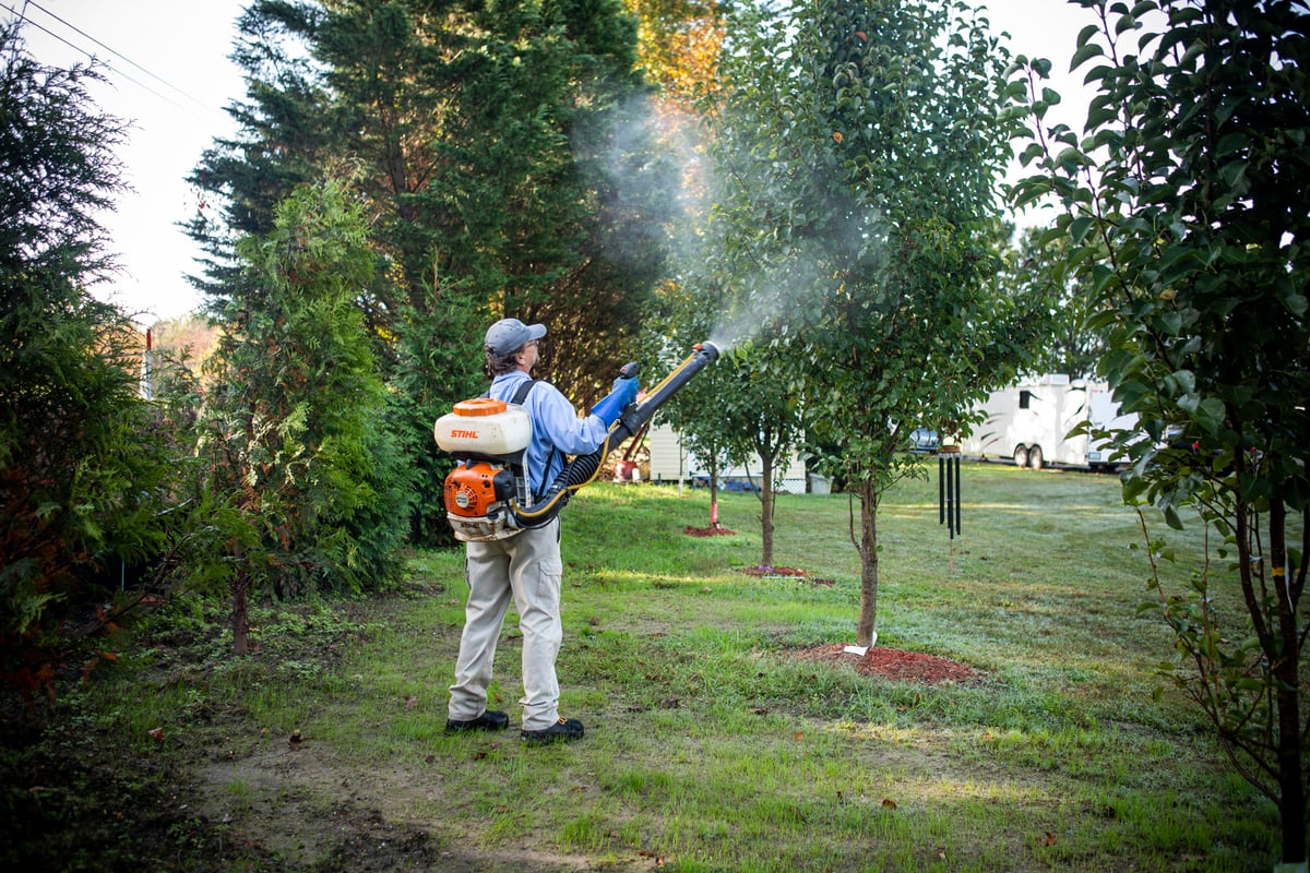 pest control technician sprays trees for mosquitoes