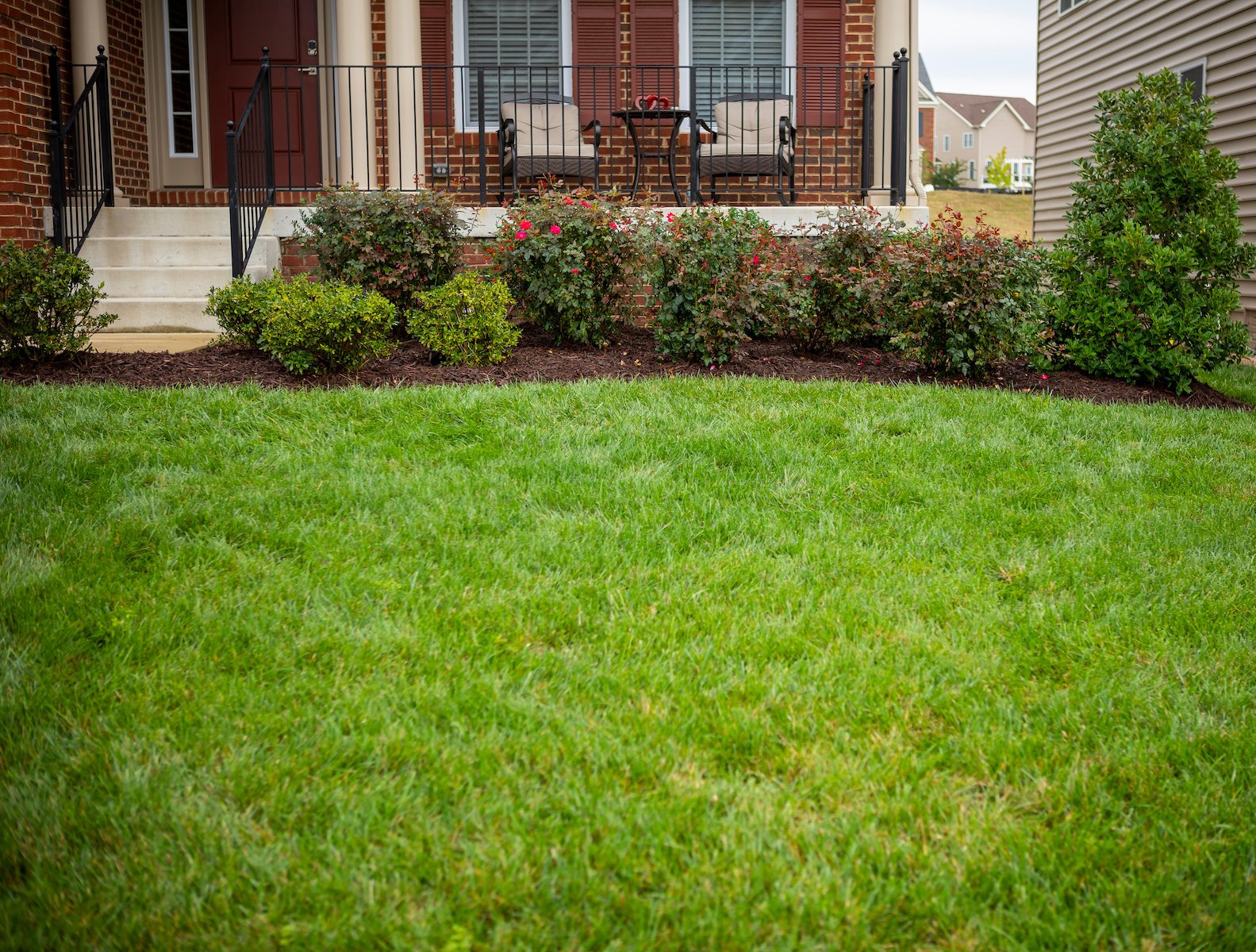 Lawn with lawn care services in Maryland