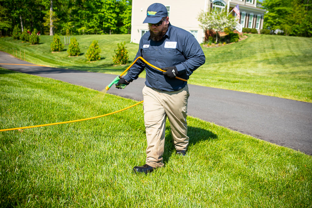 Lawn care technician spraying lawn for weeds