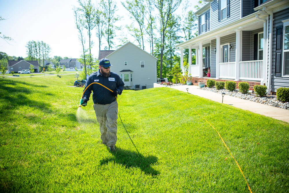Lawn care technician spraying lawn for pests