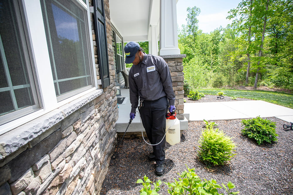 Pest control technician sprays exterior of home