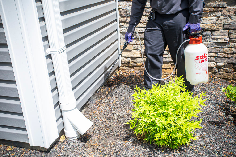Pest control technician sprays exterior of home for pests
