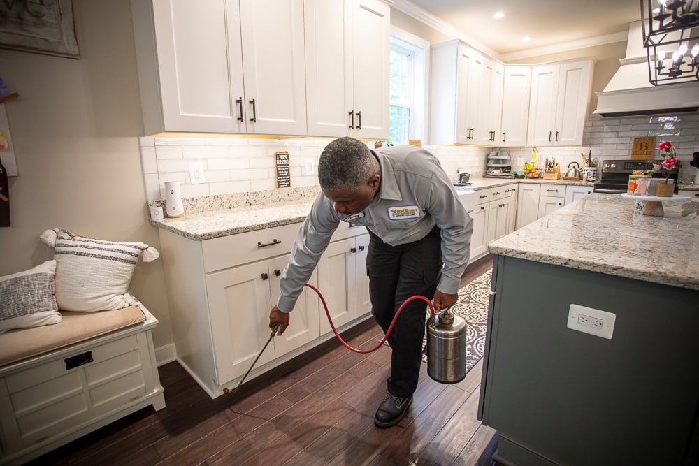 Pest control technician spraying in a home