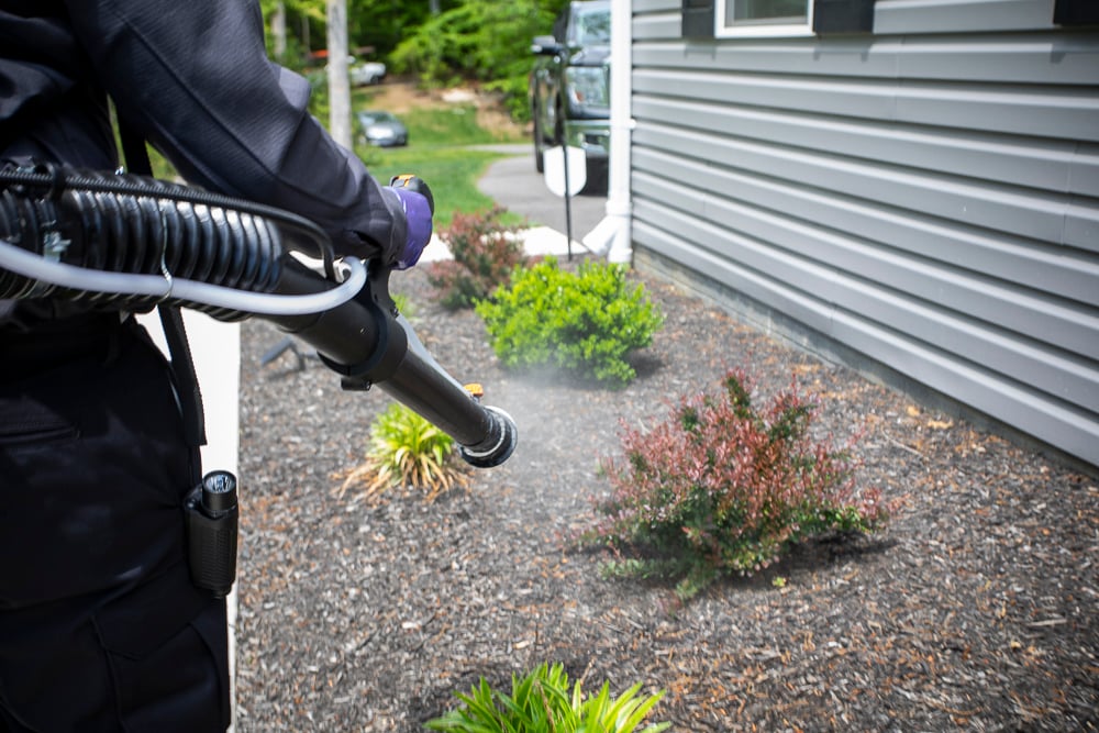 Pest control technician sprays near plantings for mosquitoes