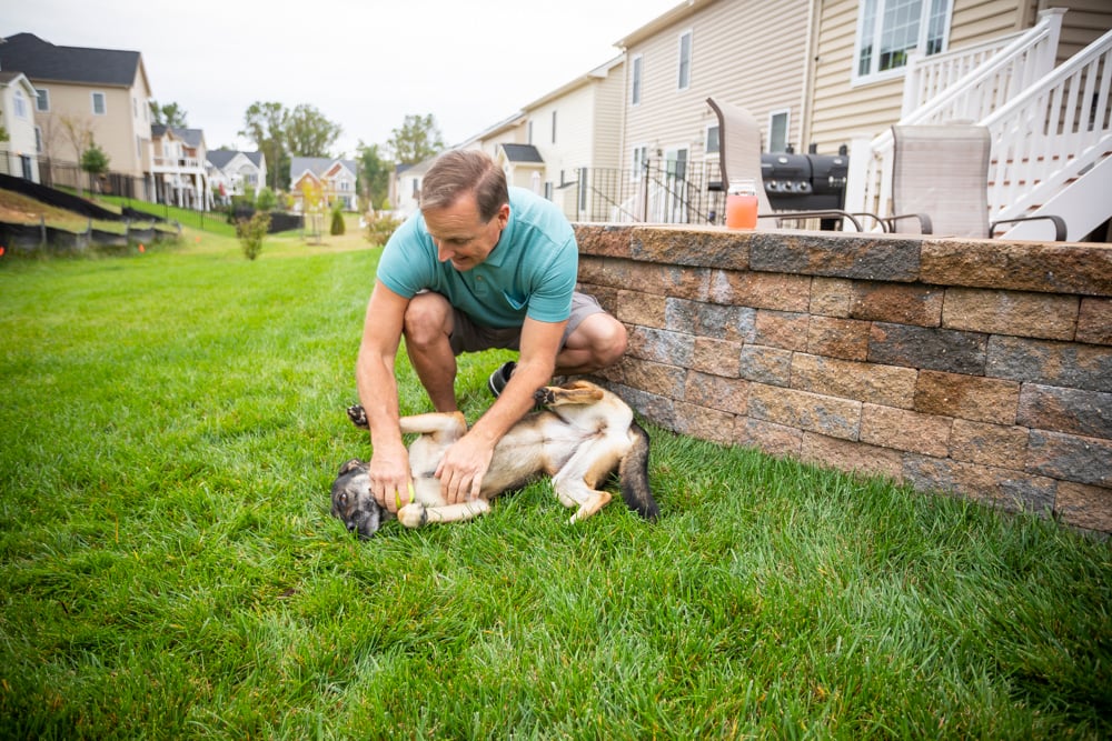 man playing with dog in grass