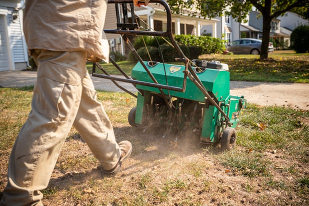 lawn aeration to prevent turf disease