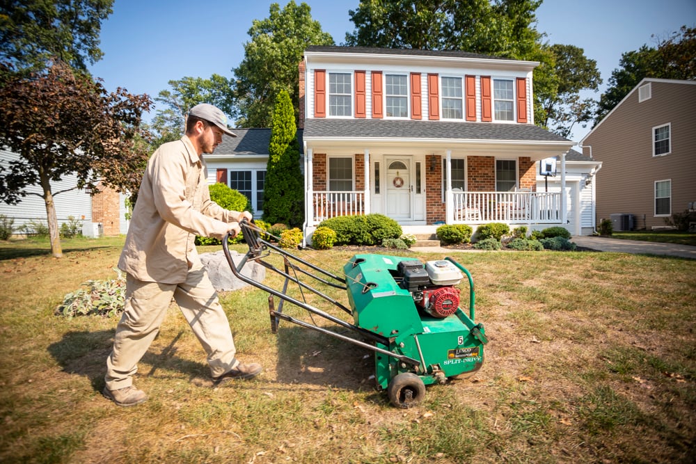 lawn aeration to promote lawn growth
