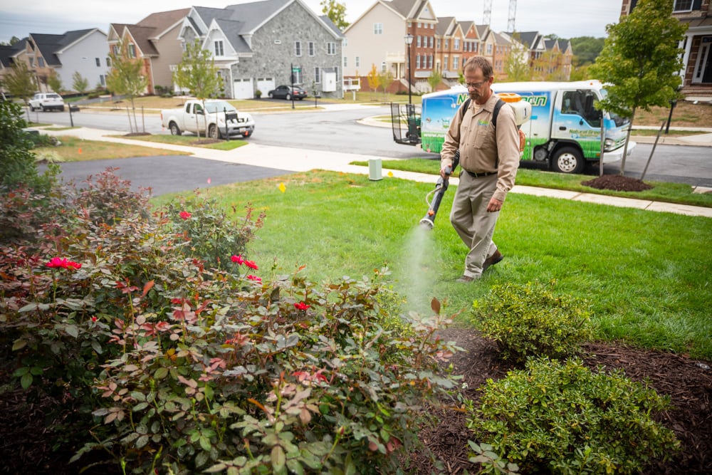RainMaster mosquito control technician spraying shrubs in central Maryland