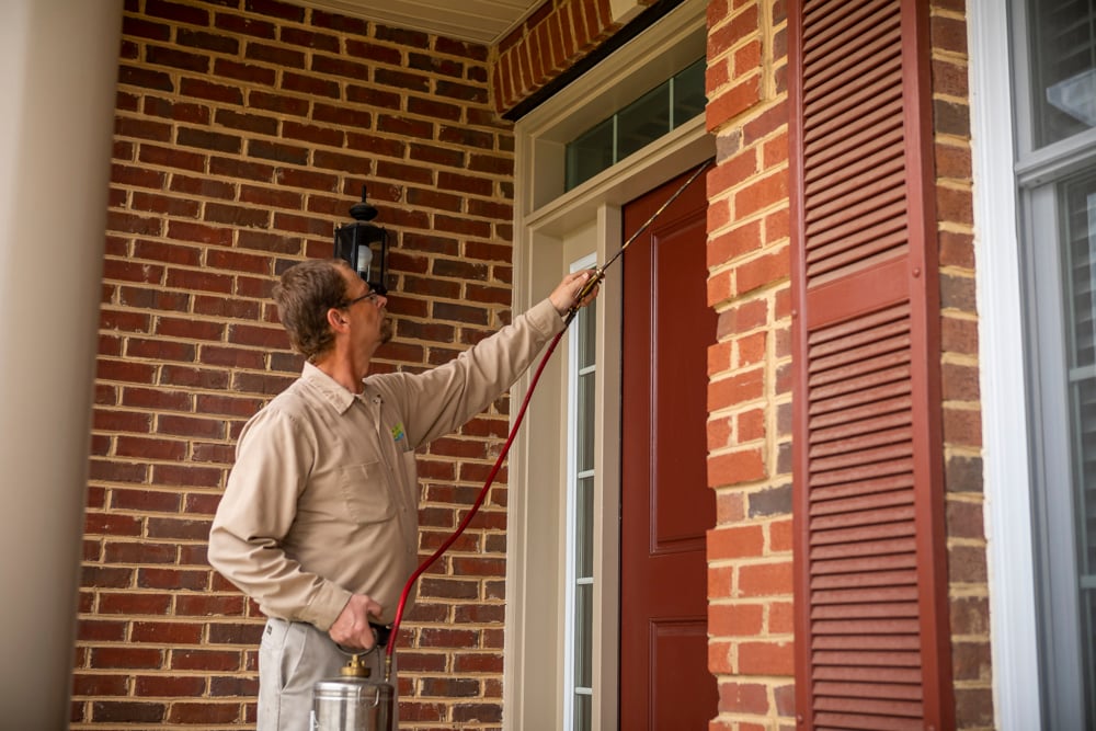 Applying a pest control spray around the perimeter of a home