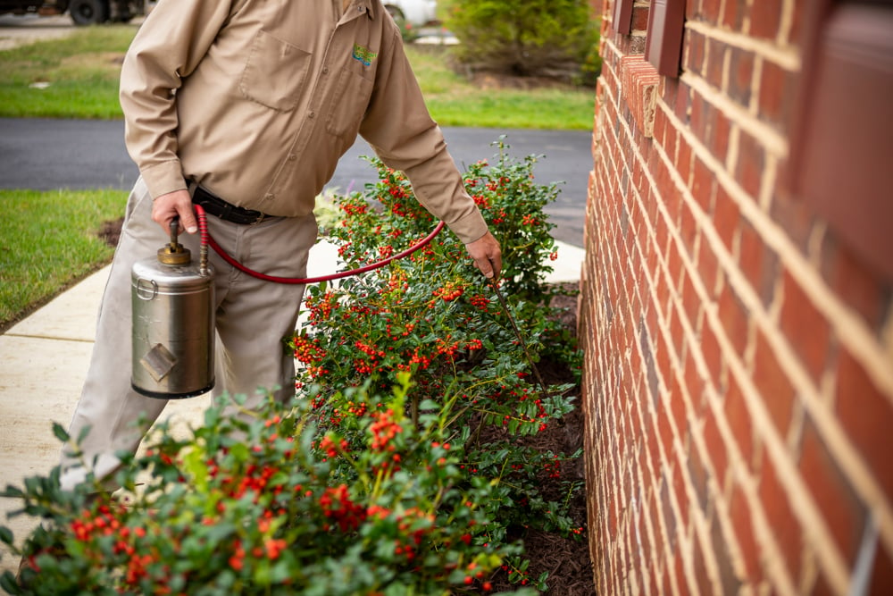 Pest Control technician spraying for pests along the perimeter of a home