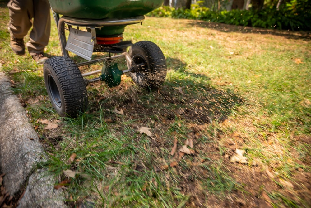 Landscape Professional overseeding a lawn after aerating
