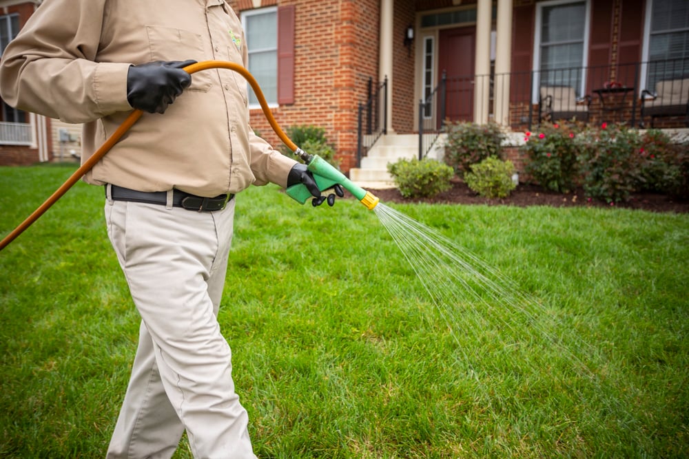 lawn care team applies liquid fertilizer