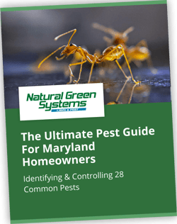 natural-green-pest-guide-cover