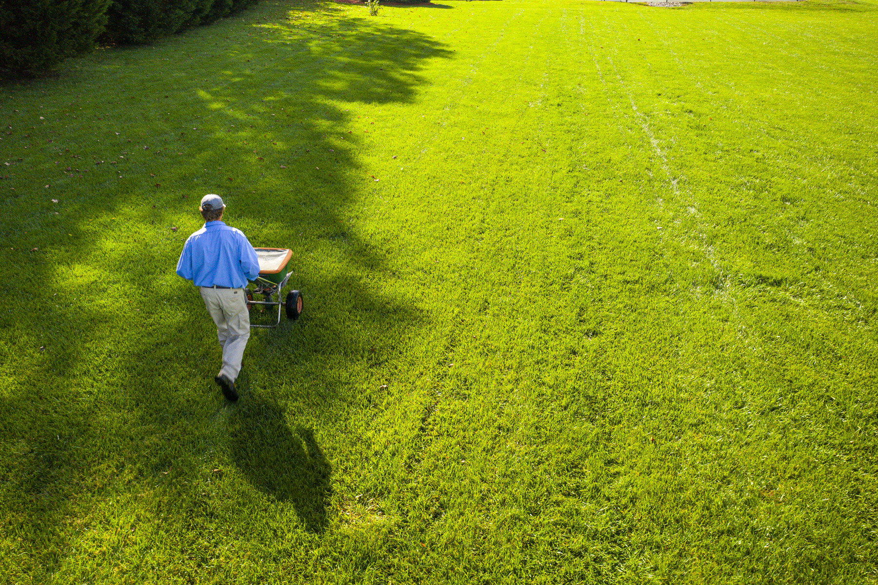 lawn care technician fertilizing grass