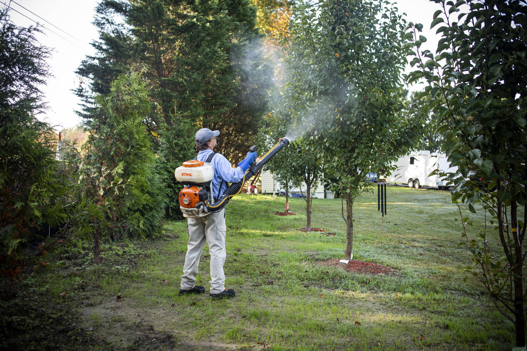 mosquito control spray in trees