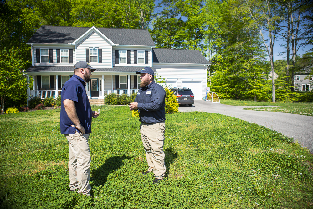 lawn care experts inspect weedy grass