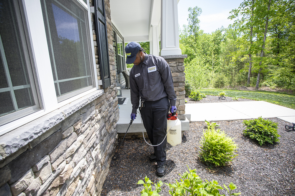 pest control expert sprays perimeter of home