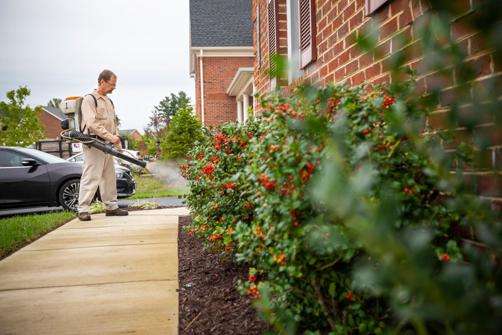 pest control technician sprays perimeter of home and landscape beds for mosquitoes
