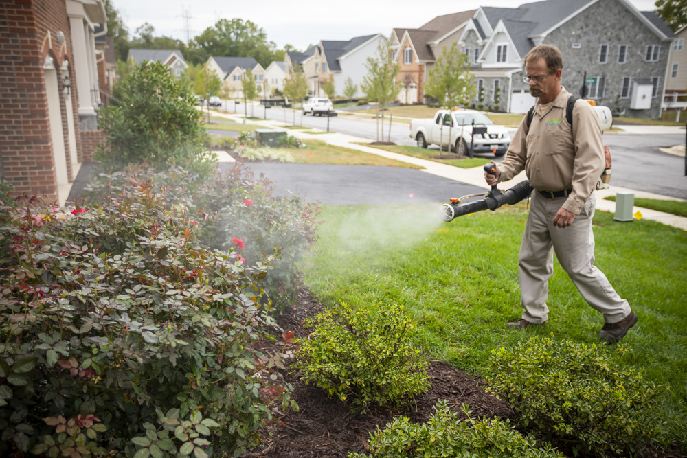 Mosquito control technician spraying lawn in Maryland