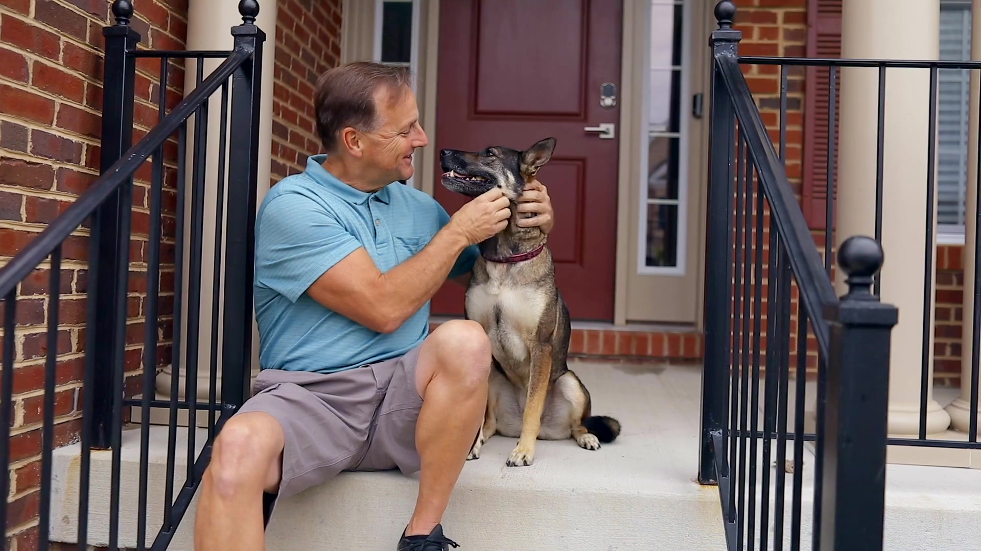 man checks dog for ticks