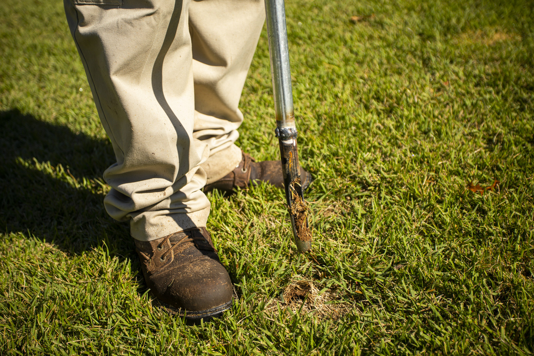 5 Common DIY Lawn Care Mistakes Made by Maryland Homeowners