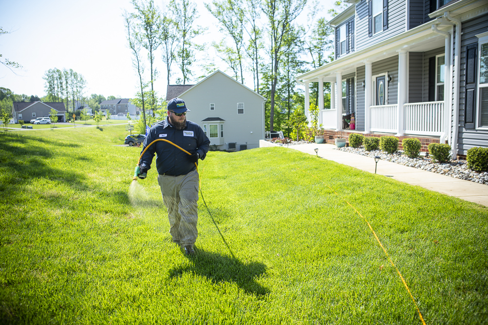 Trugreen Lawn Care Near Me Services
