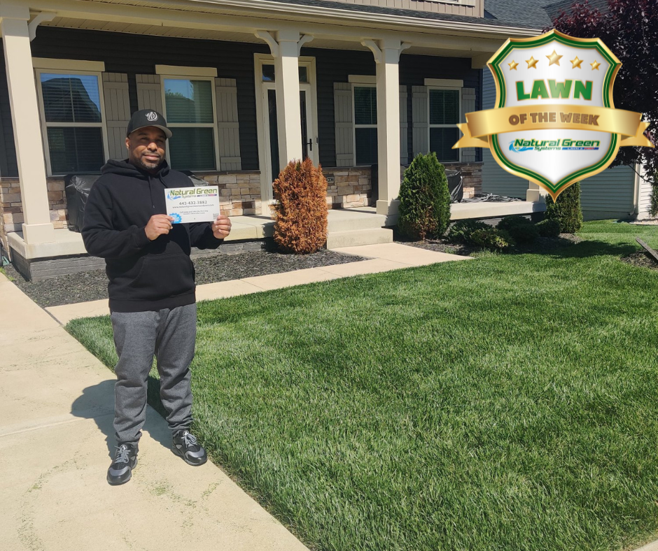 Comprehensive Bug Control Services | AAA Lawn Care